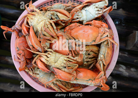 Haufen von große gedämpfte Krabben vom Homestay-Dinner-Paket Stockfoto