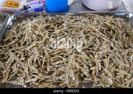 große unter den kleinen gesalzene Fische Stockfoto