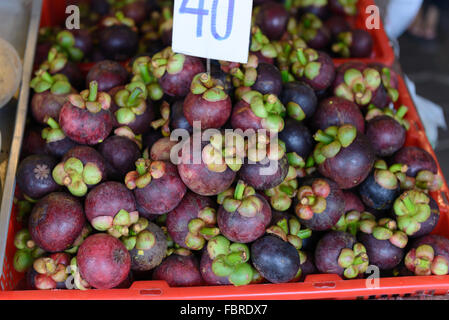 Mangostan-Frucht in einem Korb zum Verkauf auf einem Boot am schwimmenden Markt in Thailand Stockfoto