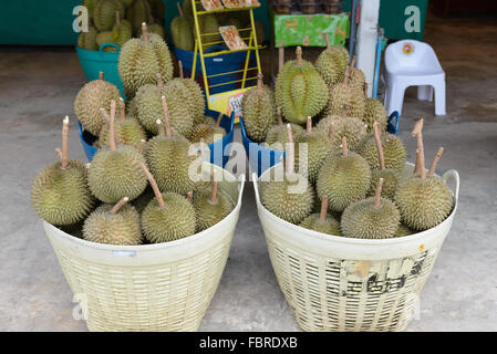 Durian Frucht gestapelt in einem Korb zum Verkauf in Thailand, schwimmenden Markt Stockfoto