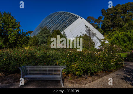 Die Adelaide Bicentennial Conservatory in Adelaide Botanic Gardens ist ein großes Glas Haus öffentlicher Raum nur einen Katzensprung vom Stadtzentrum entfernt Stockfoto