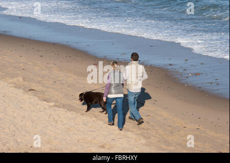 Mitte erwachsenes paar walking Hund am Strand. Nauset Licht Beach, Cape Cod National Seashore, Massachusetts, USA Stockfoto