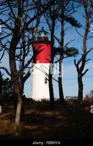 Nauset Licht, ein Wahrzeichen Leuchtturm gesehen durch Pinien, liegt entlang der Cape Cod National Seashore in Eastham, MA, USA Stockfoto