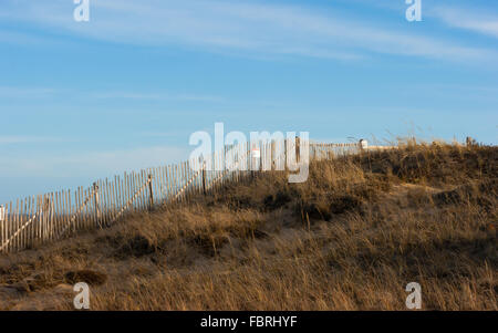 Sand Zäune Marconi Beach auf Cape Cod, Massachusetts, USA Stockfoto