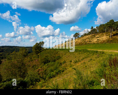 Des Teufels Bowle ein großes natürliches Amphitheater und Ausflugsort in der Nähe von Hindhead Surrey England UK Stockfoto