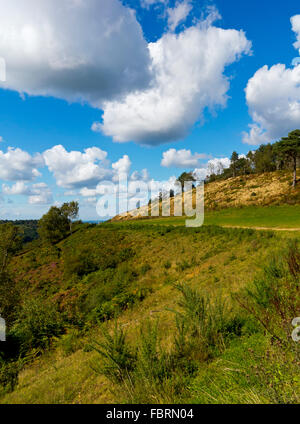 Des Teufels Bowle ein großes natürliches Amphitheater und Ausflugsort in der Nähe von Hindhead Surrey England UK Stockfoto