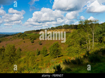 Des Teufels Bowle ein großes natürliches Amphitheater und Ausflugsort in der Nähe von Hindhead Surrey England UK Stockfoto