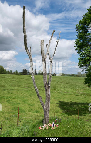 Die "Gefahr Baum" im Beaumont-Hamel Memorial Park, Somme, Frankreich. Stockfoto