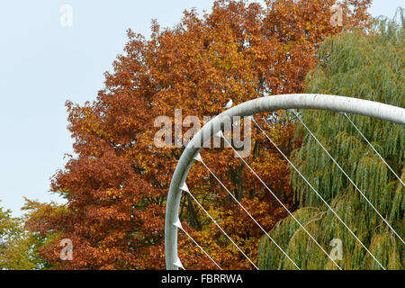 Der Schmetterling-Brücke mit Bäumen zeigt Herbstfarben in Bedford, Bedfordshire, England Stockfoto