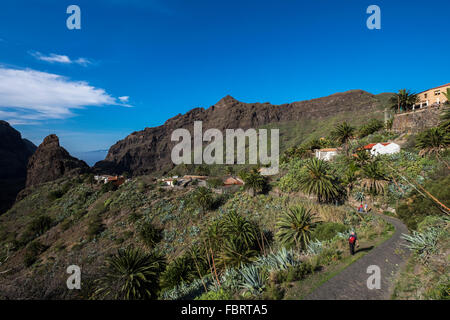 Das Dorf Masca versteckt in Masca Barranco an der West Küste Teneriffas oberhalb der Gigantes Klippen, Kanarische Inseln, Spanien Stockfoto