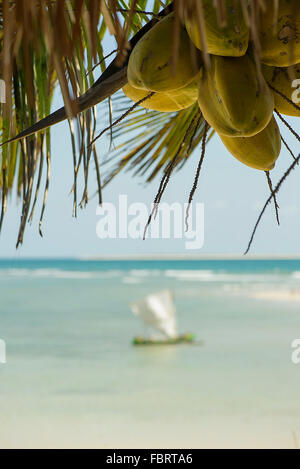 Tropisches Paradies Stockfoto