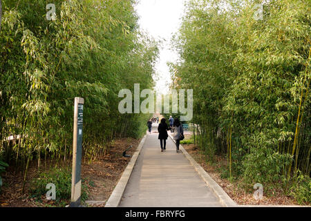 Die Promenade Plantée, Paris High Line, erhöhte linear Park, basiert auf veralteten Eisenbahn, Paris, Frankreich Stockfoto