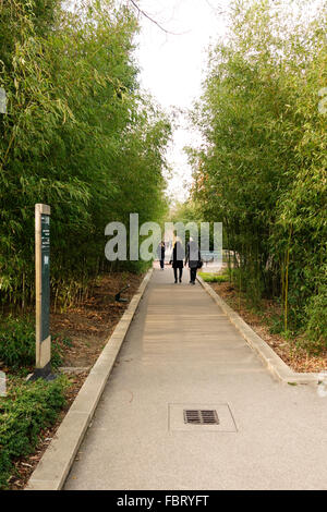 Die Promenade Plantée, Paris High Line, erhöhte linear Park, basiert auf veralteten Eisenbahn, Paris, Frankreich Stockfoto