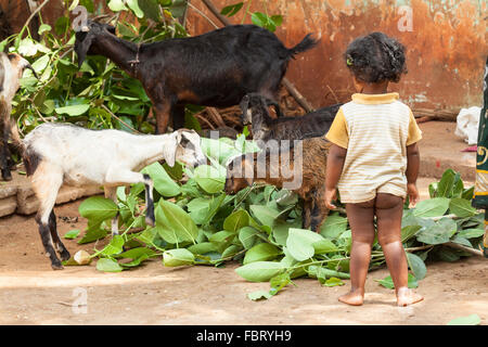 Ein kleines Mädchen mit Kindern in abgelegenen Dorf - Südindien. Stockfoto