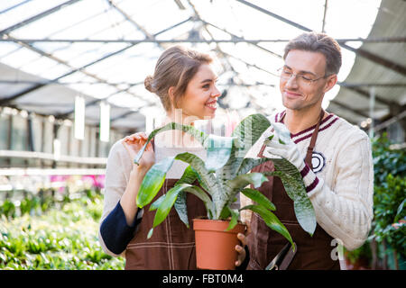 Stets gut gelaunte Frau Florist und Mann Gärtner kümmert sich um schöne Blume im Topf im Gewächshaus Stockfoto