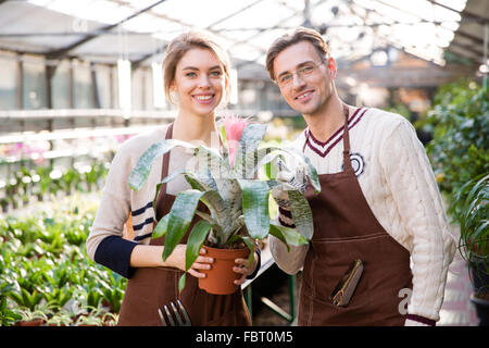 Lächelnde Mann Florist und Frau Gärtner in braun, die schöne rosa Blume im Topf mit großen Blättern in Orangerie Schürzen Stockfoto