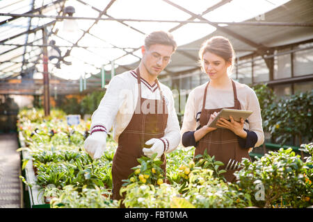 Schwere männliche und weibliche Gärtner in braune Schürzen, Pflanzen und Blumen zu diskutieren und mit Tablet in der Orangerie Stockfoto