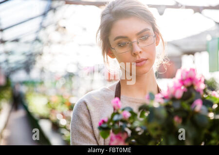 Schöne konzentriert junge Frau Florist in Gläser mit Blumen im Gewächshaus arbeiten Stockfoto