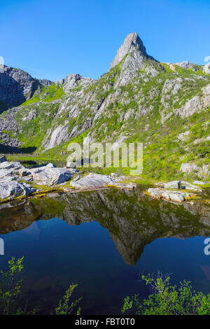 Glomtinden Peak spiegelt sich im kleinen Pool, Flachsbude, Lofoten-Inseln Stockfoto