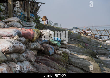 Sandsäcke und einsame Kuh an den Ufern des Flusses Brahmaputra an der Fähre verweisen.  MAJULI Insel, Assam, Indien. Stockfoto