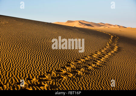 Spuren in den Sand Dünen, leere Viertel Rub Al Khali Wüste, auch Rub Al Khali, Vereinigte Arabische Emirate Stockfoto