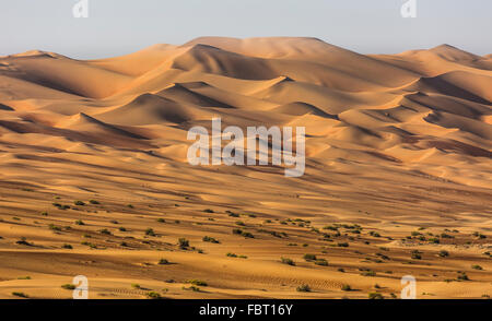 Sanddünen in der Wüste in der Nähe von Al Hamaìm, Rub' al Khali oder Khali, Vereinigte Arabische Emirate Stockfoto