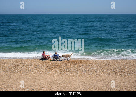 Ein paar entspannende auf Stühlen mit ihrem Hund an den Rand des Wassers am Kiesstrand bei Torcross in Devon Stockfoto