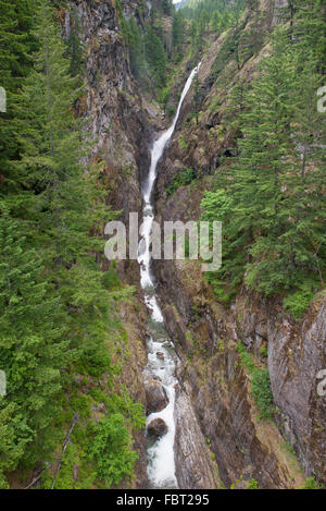 Gebirgsbach Kaskadierung durch Schlucht, North Cascades National Park, Washington, USA Stockfoto