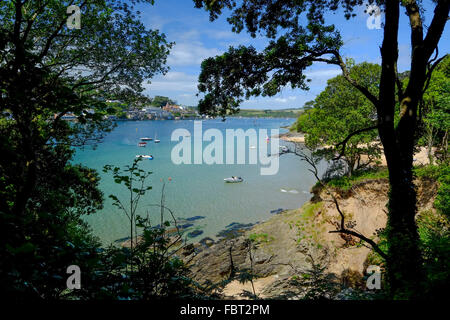 Salcombe, Devon, UK. Blick durch die Bäume auf dem Küstenpfad zum Strand und der Mündung in Salcombe in Devon. Stockfoto