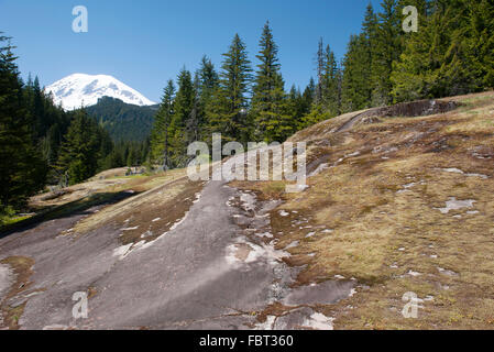 Bewaldeten Hügel in Mount Rainier Nationalpark, Washington, USA Stockfoto