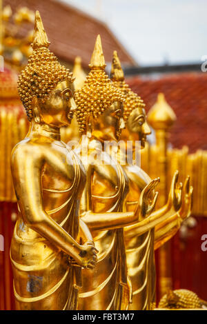 Goldene Buddhastatuen im Wat Phra, die Doi Suthep Stockfoto