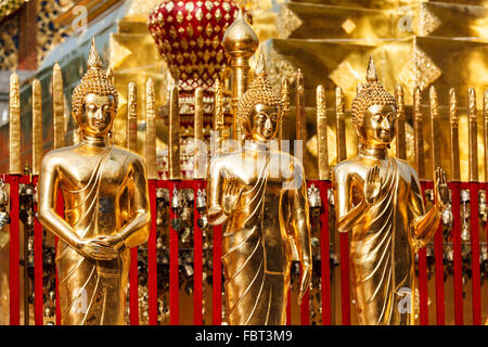 Goldene Buddhastatuen im Wat Phra, die Doi Suthep Stockfoto