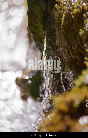 Nahaufnahme des Wassers über moosige Felsen Stockfoto