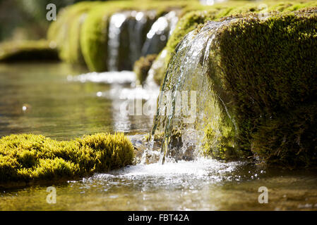 Wasser fließt über Moos bedeckt Felsen Stockfoto