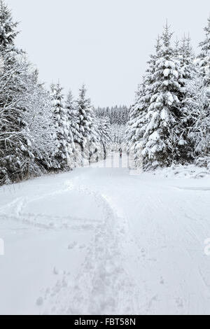 Langlaufen in einer malerischen Winterlandschaft, Girkhausen, Bad Berleburg, im Sauerland, Nordrhein-Westfalen, Deutschland. Stockfoto