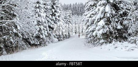 Langlaufen in einer malerischen Winterlandschaft, Girkhausen, Bad Berleburg, im Sauerland, Nordrhein-Westfalen, Deutschland. Stockfoto