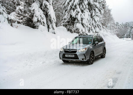 Subaru Forester 4 x 4 auf eisglatten Straße mit Schnee bedeckten Kiefern Stockfoto