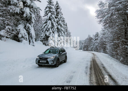 Subaru Forester 4 x 4 auf eisglatten Straße mit Schnee bedeckten Kiefern Stockfoto