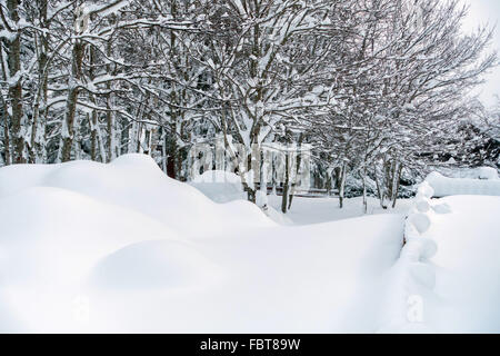 Tiefschnee Drifts und Bäume, Pyrenäen, winter Stockfoto