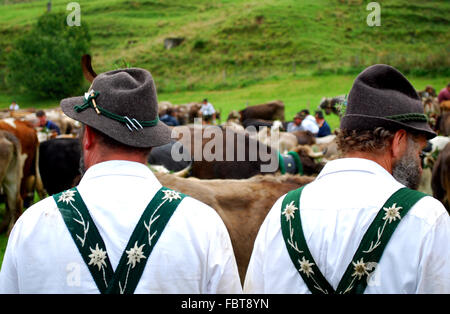 Viehscheid-Almabtrieb-allg├ñu Stockfoto