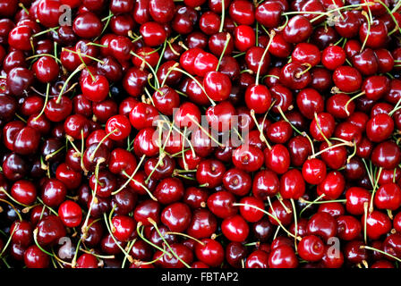 viele rote Kirschen auf Marktstand Stockfoto