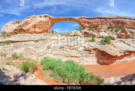 Owachomo Brücke in Natural Bridges National Monument in Utah. Stockfoto