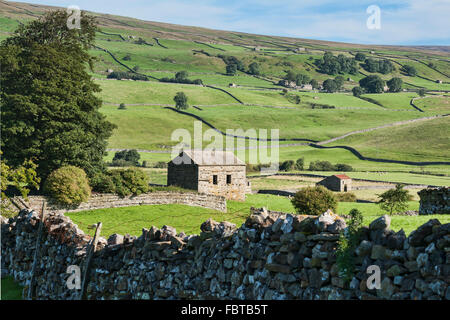 Wensleydale-Landschaft, in der Nähe von Hawes, North Yorkshire, England UK Stockfoto