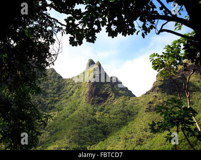 Schweren Spitzen auf Kauai, umgeben von üppigen Bäumen Stockfoto