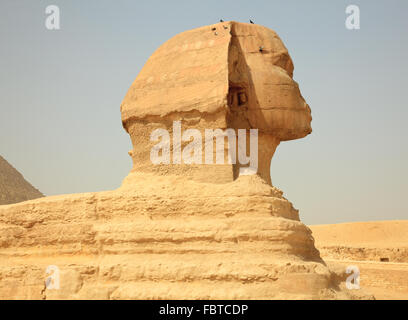 Smoggy Ansicht der Sphinx von Gizeh bei Kairo in Ägypten Stockfoto