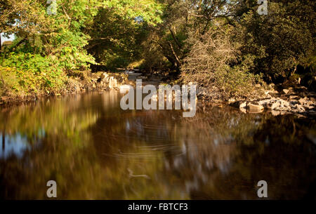 Broad River Pool in Zeitlupe im grünen Tal Stockfoto