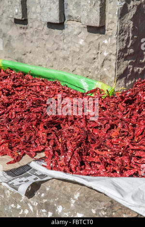 Scharfe rote Chilischoten, die im Sonnenschein austrocknen. Kohima Market, Nagaland, Indien. Stockfoto