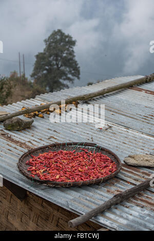 Scharfe rote Chilischoten Trocknen auf einem Dach in sehr hoch, sehr ruhig und sehr abgelegenen Dorf der Thembang Dzong, Indien Stockfoto