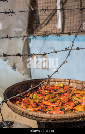 Verschiedene rote und orange Chilischoten trocknen in der Sonne in den Straßenmarkt in Bomdila, Indien. Stockfoto