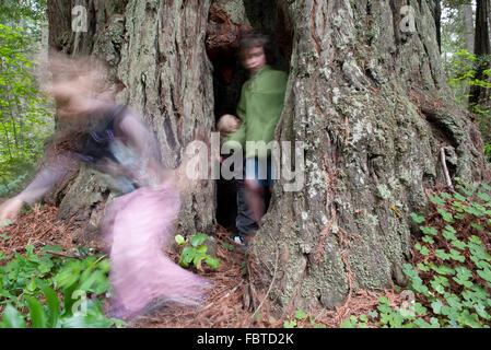 Kinder spielen im hohlen Baumstamm Stockfoto